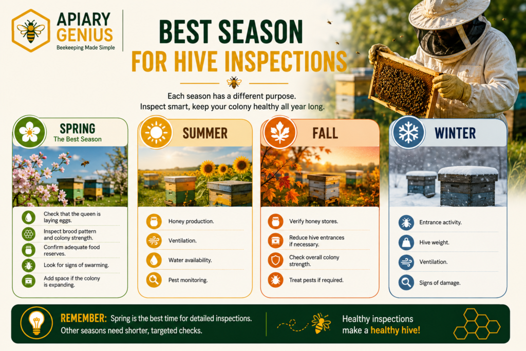 Best time to inspect a beehive by season infographic
