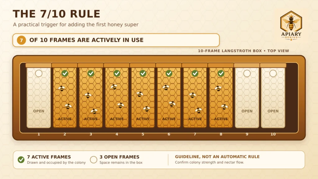 Ten-frame hive diagram showing seven frames in active use under the 7/10 rule