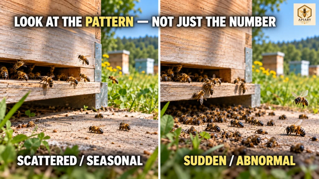 Scattered seasonal bee deaths compared with sudden abnormal bee mortality at hive entrances